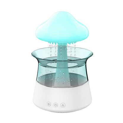 Rain Cloud humidifier