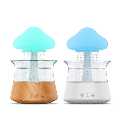 Rain Cloud humidifier