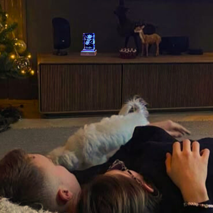 Loviea Rose - A glow for special moments